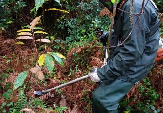 A Xunta realiza traballos de conservación e limpeza nos treitos interurbanos do Rego de Oza e os ríos Monte Neme e Barcia no concello de Carballo