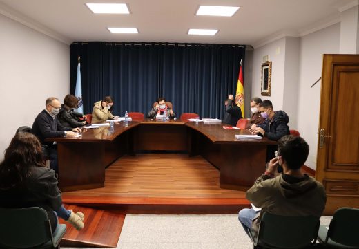 O Pleno requírelle a Electricidad Cruceiro SL que presente a documentación precisa para adxudicar a segunda fase do proxecto de aforro enerxético no alumeado de Lousame