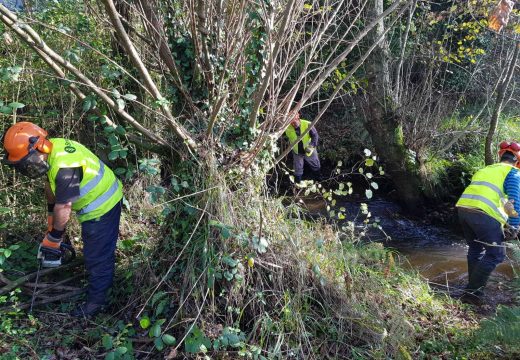 A Xunta realiza traballo de conservación e limpeza nos treitos interurbanos dos ríos Dubra, Loureiro, Rego do Souto e Rego do Faxón no concello de Val de Dubra