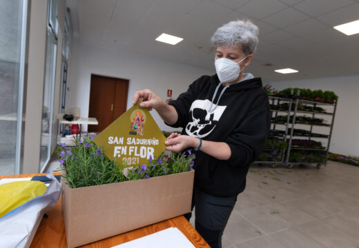 Comeza o reparto das plantas para o certame “San Sadurniño en flor”