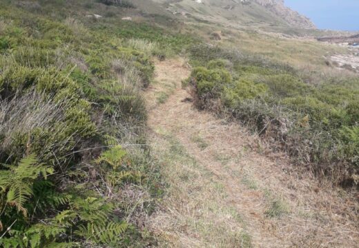 O Concello de Camariñas comeza os traballos de limpeza das súas etapas do Camiño dos Faros