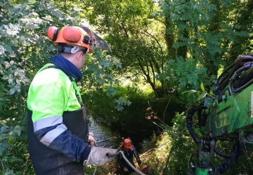 A Xunta realiza actuacións de conservación e limpeza no treito interurbano do río Barcés ao seu paso polo concello de Abegondo