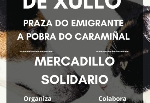 Mercado solidario a favor dos animais abandonados