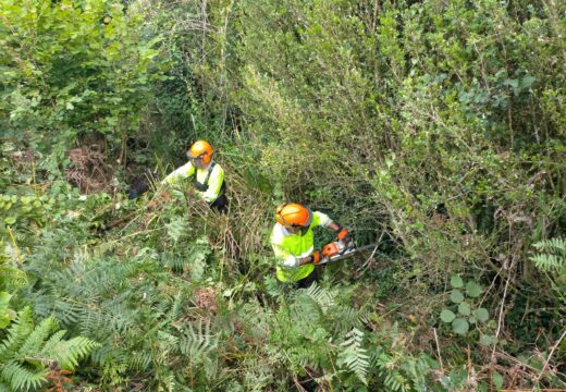 A Xunta realiza actuacións de conservación e limpeza nos treitos interurbanos de catro ríos ao seu paso polo concello de Cariño