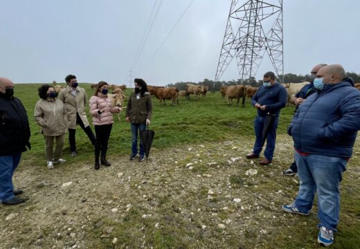 A Xunta seguirá apoiando ao sector gandeiro frone aos danos da fauna silvestre e duplicará en 2022 as axudas para medidas de prevención