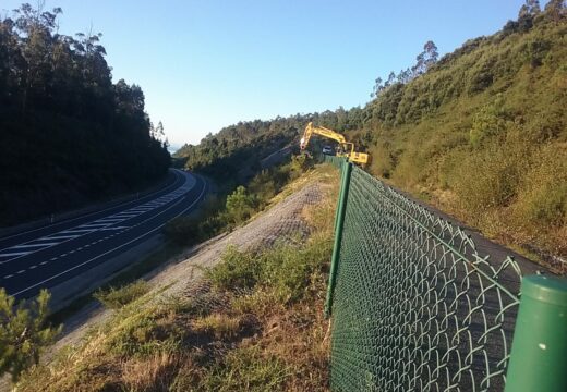 A Xunta comezará este luns novos traballos de limpeza nas marxes das estradas autonómicas nas provincias da Coruña, de Lugo e de Ourense