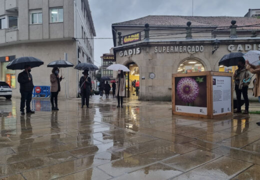 As rúas Real e Tafona de Padrón acollen ata o 10 de decembro a exposición “Matemáticas para un mundo mellor”