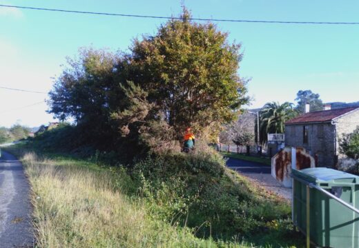 A Xunta continuará este xoves os traballos de limpeza nas marxes das estradas autonómicas das catro provincias