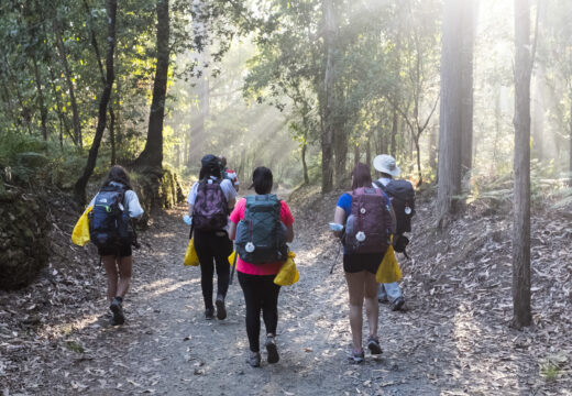 Os peregrinos do Camiño de Santiago reciclaron en Galicia 117 toneladas de envases este verán