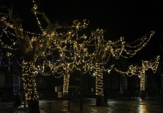 Carral prende a iluminación de Nadal e imparte un obradoiro de decoración temática entre o alumnado do municipio