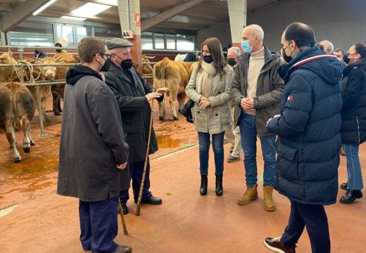 A Xunta destina case 28.000 euros á mellora do mercado de Curtis para consolidalo como referente da venda de produtos agroalimentarios na comarca de Betanzos