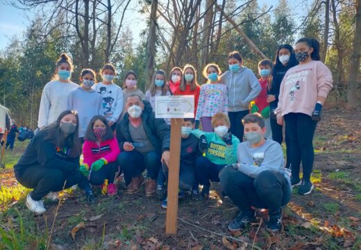 Os nenos e nenas de 6º de Primaria do Vicente Otero realizan unha plantación de árbores