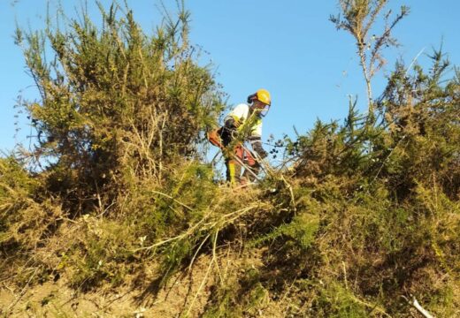 A Xunta inicia este luns novos traballos de limpeza nas marxes da estrada AC-552 ao seu paso polos concellos de Couña, de Arteixo, da Laracha e de Carballo