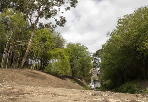 O Concello ampliará o proxecto do Bosque de Breogán nunha segunda fase sumando outros 35.000 metros cadrados