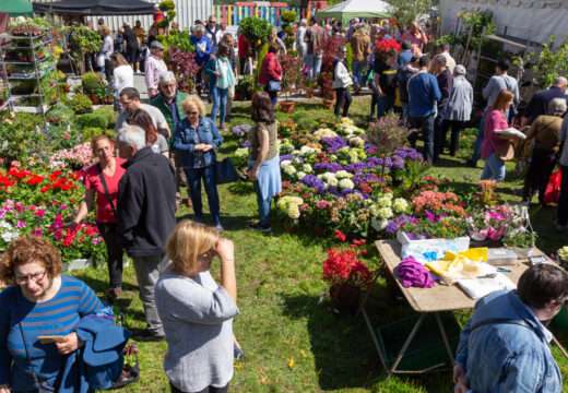 45 postos participarán este domingo na XXV Feira da Plantación de San Sadurniño