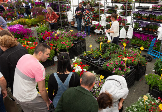 24 de abril: XXV Feira da Plantación de San Sadurniño