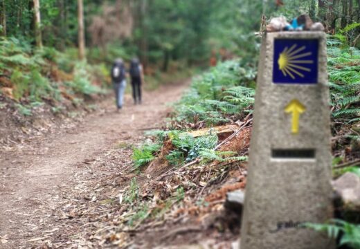 A Deputación da Coruña acepta a encomenda da Asociación de Concellos do Camiño Inglés e licitará un proxecto de obras de mellora nesta ruta xacobea por máis de 435.000 euros