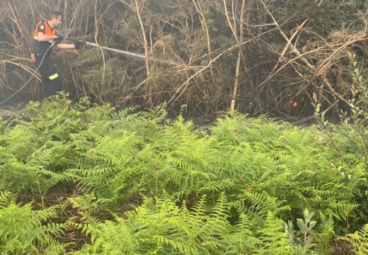 Policía Local e Protección Civil extinguen un incendio forestal en Erboedo