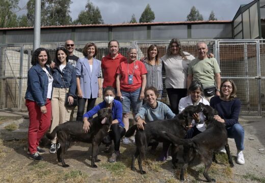 A Xunta reformará a lei para que se identifique os animais de compañía que aparezan mortos na vía pública e se notifique aos seus donos