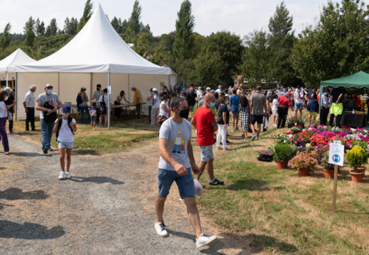 61 postos tomarán parte na XIII Feira Rural deste sábado en San Sadurniño