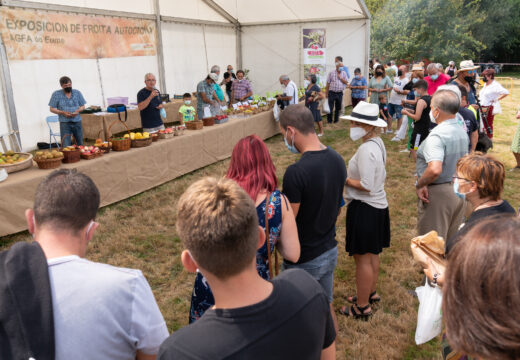 Sábado 27 de agosto: XIII Feira Rural de San Sadurniño