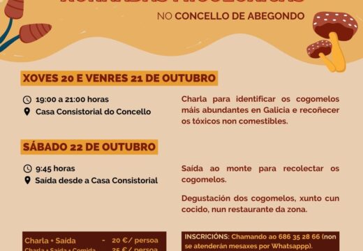 A micoloxía centrará parte da programación de lecer de Abegondo no mes de outubro