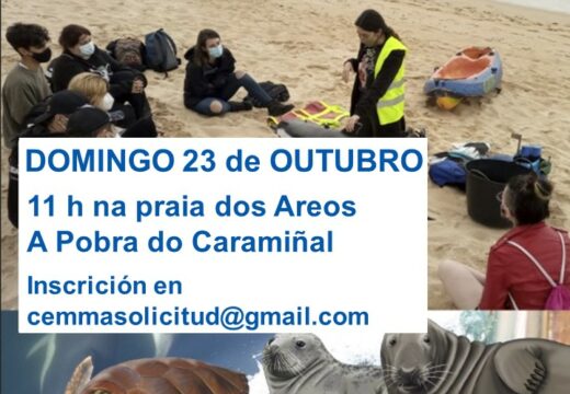 A CEMMA impartirá na Pobra unha actividade de simulacro de rescate de tartarugas e mamíferos mariños