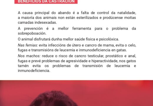 Medidas que garanten o benestar animal na Pobra