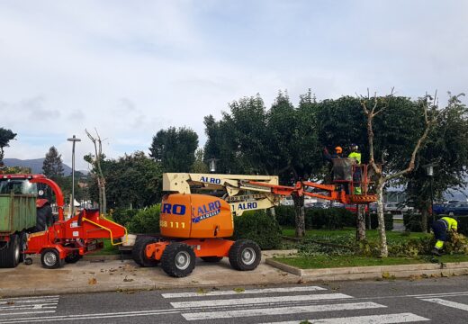 A Pobra acomete as tarefas de poda na presente tempada do outono