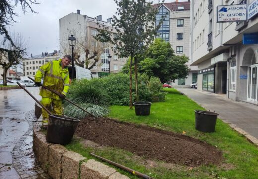 O Concello de Carballo porá a disposición da veciñanza as plantas de temporada que se retiren das zonas verdes