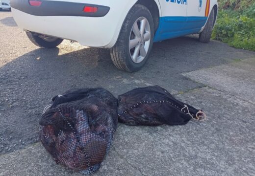 A Policía Autonómica comisa 90 quilos de polbo e dous de centolas na cidade da Coruña