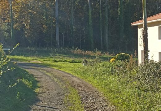 O Concello de Ortigueira licita a mellora de varios camiños en Ou Ermo, San Claudio e Ou Viso por máis de 100.000 euros