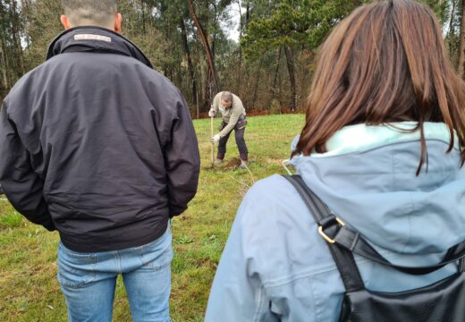 Plantación de especies autóctonas Hábitat