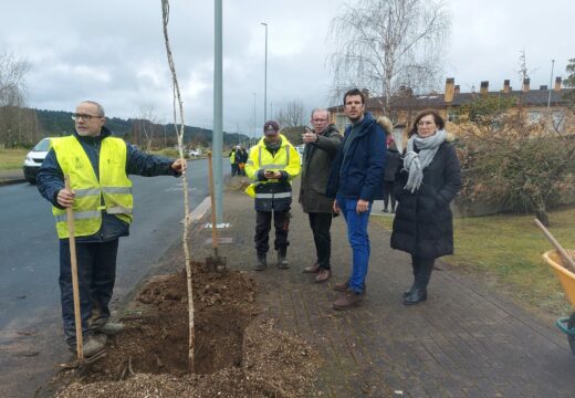 O alumnado do obradoiro de emprego ‘Artabroemprede’ inicia a plantación de bidueiros en Costa Miño