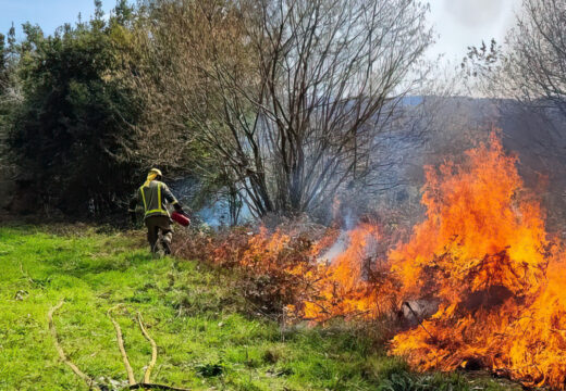 O Concello de Moeche e o Distrito Forestal de Ferrol colaborarán na repoboación con frondosas de varias masas comúns