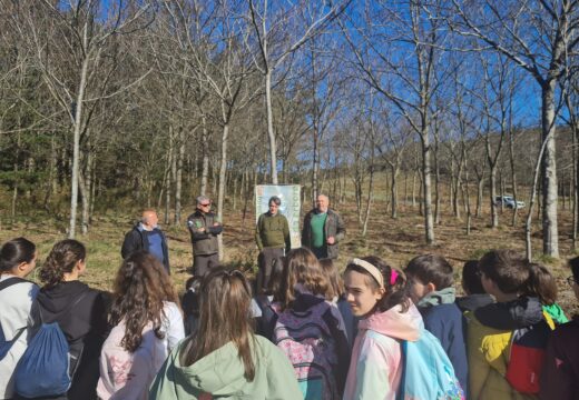 O concello e a consellería do Medio Rural celebran o Día Internacional dos bosques cunha plantación de castiñeiros