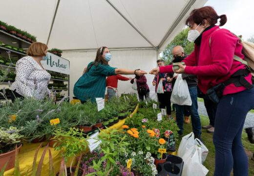 San Sadurniño abre este mércores o prazo de inscrición na XXVI Feira da Plantación