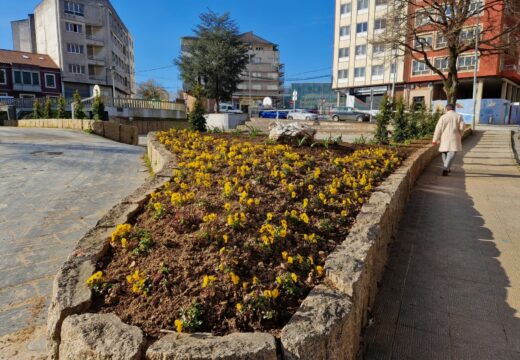 O plan integral de mellora das zonas verdes esténdese a outros oito espazos axardinados