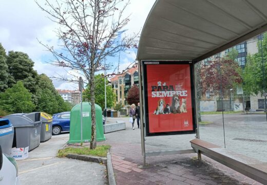 O Concello de Santiago lanza unha campaña de prevención do maltrato e o abandono animal