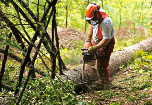 Neda contratará a dous peóns para a prevención de incendios forestais con cargo ao Aprol Rural 2023