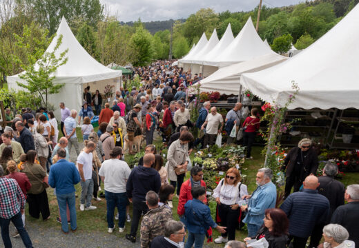 A XXVI Feira da Plantación de San Sadurniño supera todas as marcas de asistencia de público… e de vendas