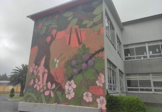 O CEIP A Barqueira xa loce o mural creado por Iría Fafián para promocionar os valores, a cultura e os principais elementos do territorio do Xeoparque Cabo Ortegal