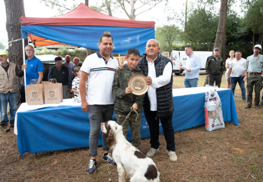 ‘Puskas’, o setter inglés de Manuel Cancela, convértese no mellor exemplar da exposición de cans de caza de Abegondo