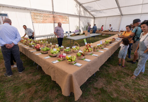 A Feira Rural de San Sadurniño volverá premiar os mellores lotes de froita da comarca