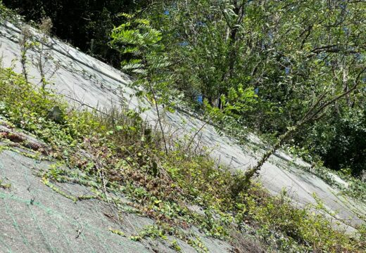 Os socialistas denuncian o abandono do muro da Avenida de Lugo e reclaman actuacións de mantemento