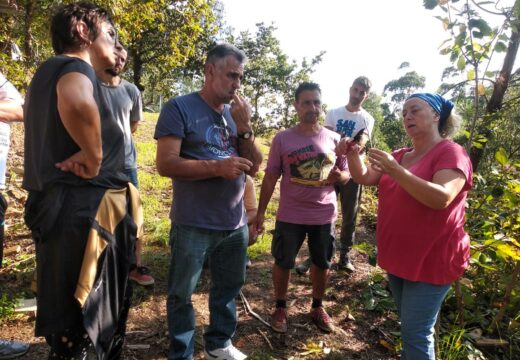 Clausurada na Pobra unha nova edición do programa formativo de poda e enxerto