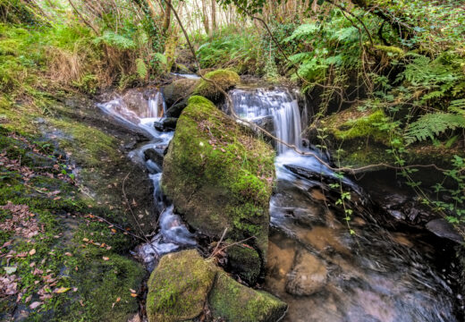 A modalidade “Xeral” da terceira edición do concurso de fotografía A Laracha no Obxectivo xa ten gañadores