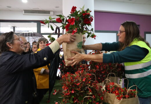 Repartidas entre a veciñanza 220 plantas de temporada retiradas dos xardíns municipais