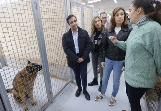 A Xunta manterá en 20224 o seu apoio a concellos e entidades protectoras para o coidado de animis domésticos abandonados cun orzamento de 450.000€