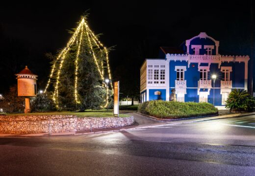 Iluminada unha árbore de cada parroquia de Oleiros